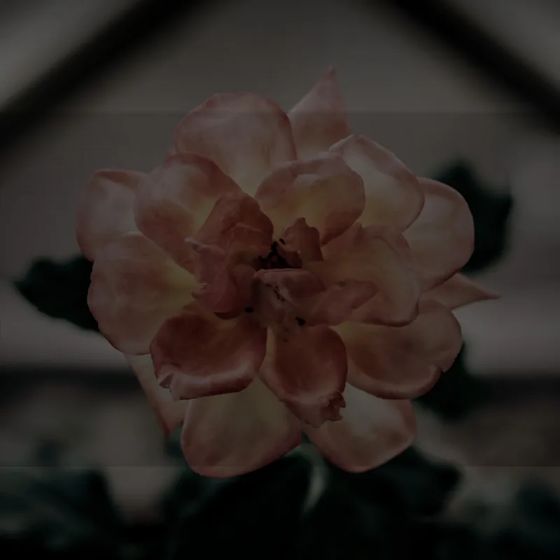 Glamour — R&B