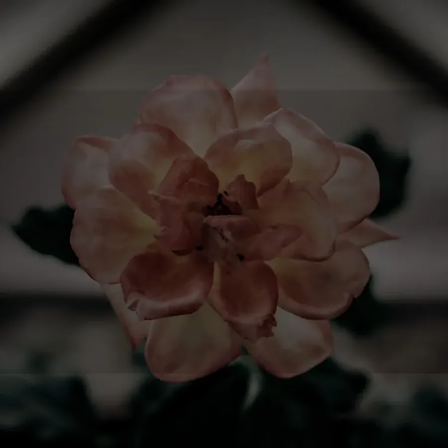 Pochette de Glamour, instrumental R&B