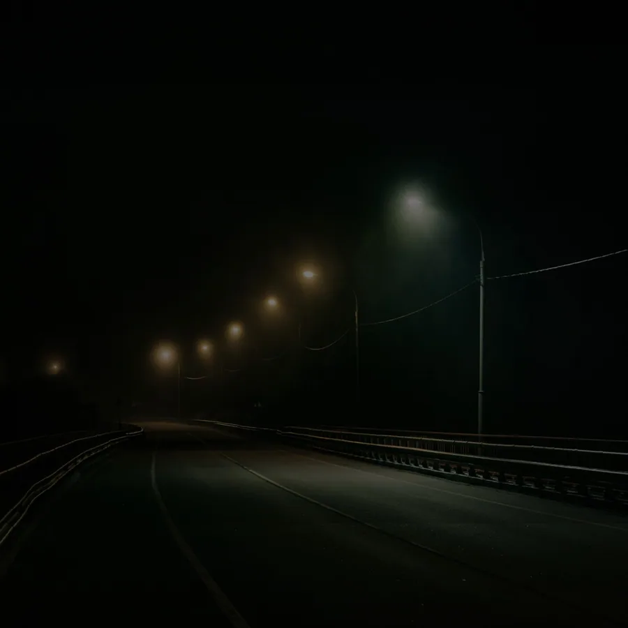 Pochette de Shadow Schemes, instrumental Phonk